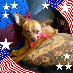 Meet your Posher, Diana